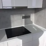 Luxury Flat In Brno