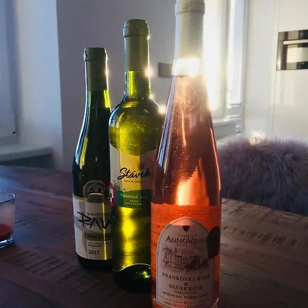 Luxury Flat In 公寓 *