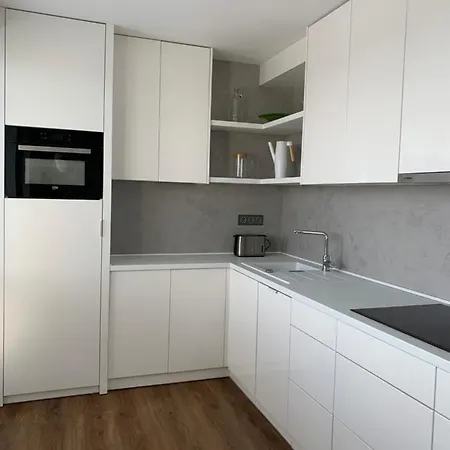 Luxury Flat In Apartment Brno