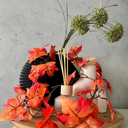 Luxury Flat In * Брно