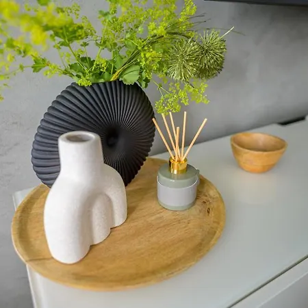 公寓 Luxury Flat In 布尔诺