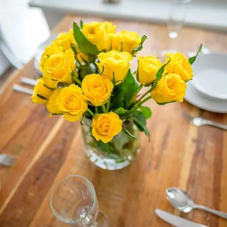 公寓 Luxury Flat In 布尔诺