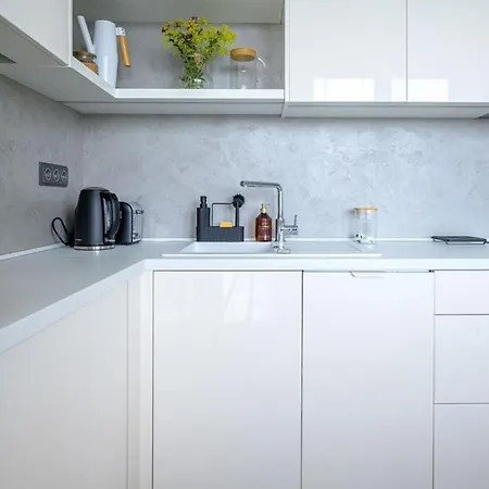 Luxury Flat In 公寓 布尔诺