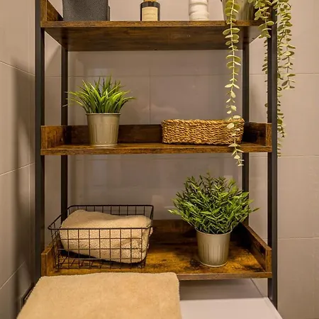 Luxury Flat In 布尔诺