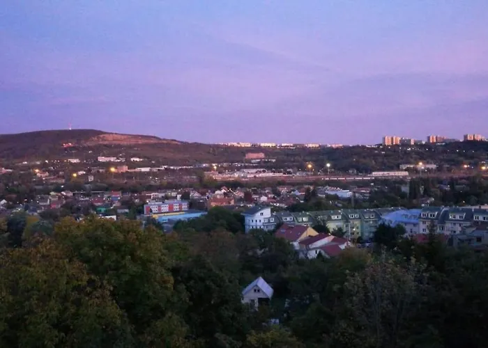 Luxury Flat In * Brno