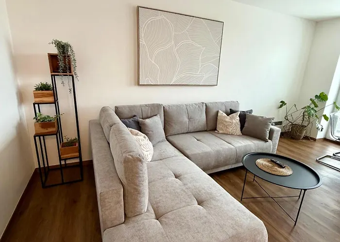 Luxury Flat In Brno